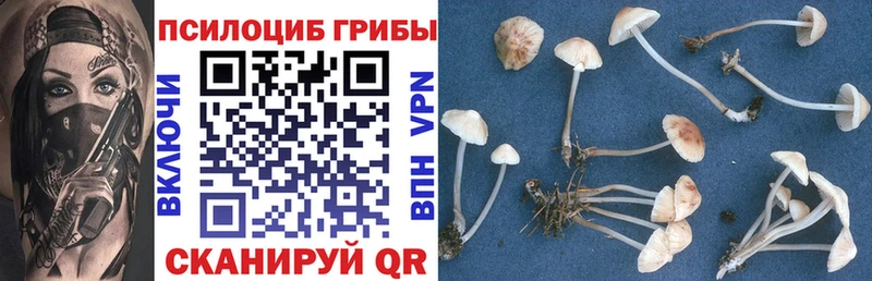 Галлюциногенные грибы мухоморы blacksprut онион Омутнинск
